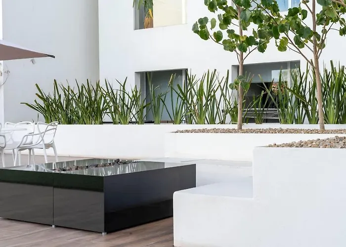 Apartamento 2br Downtown Cabo Walk To & Dining Cabo San Lucas